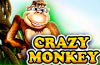 Crazy Monkey